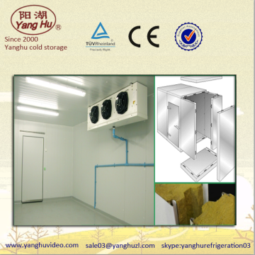 2015 cheap price and high quality cold room