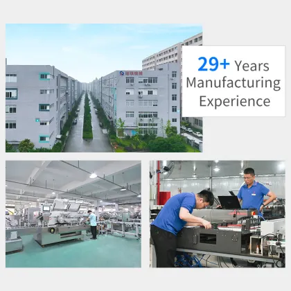 Pregnancy Test Stick Cartoning Box Machine