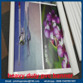 UV Printing Glossy Heavy Duty PVC Banner