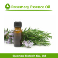 Rosemary Leaf Extract Essential Oil Cosmetics Grade