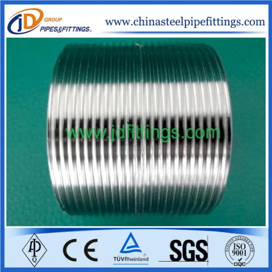DIN Stainless Steel Strict Pipe Nipple
