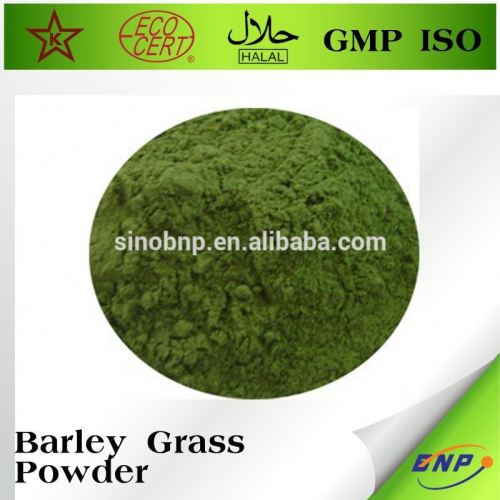 Barley Grass Powder Barley Grass Juice Powder, High Quality Barley