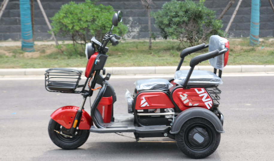 Adult Cargo Best Price Electric Tricycle