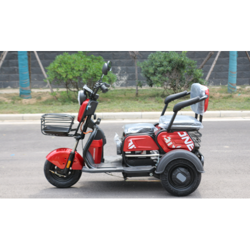 Register Trike 3 Wheel Mobility Scooter Electric Tricycle