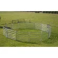 Pannelli di recinzione del bestiame di mucca di bestiame all'Australia Farm
