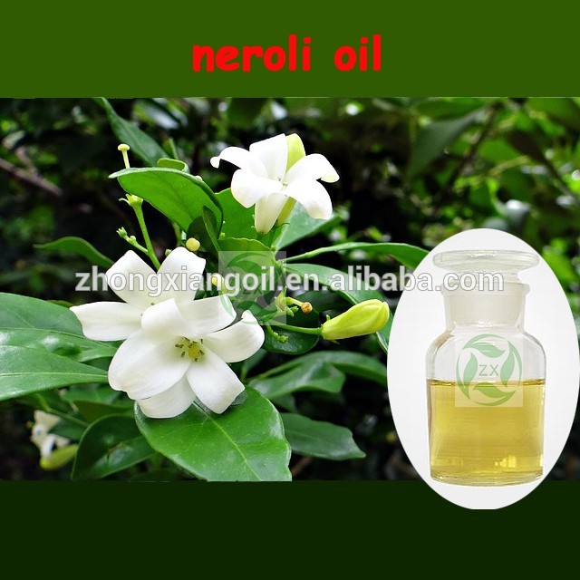 Wholesale Natural Organic 100% Pure Essential Oil