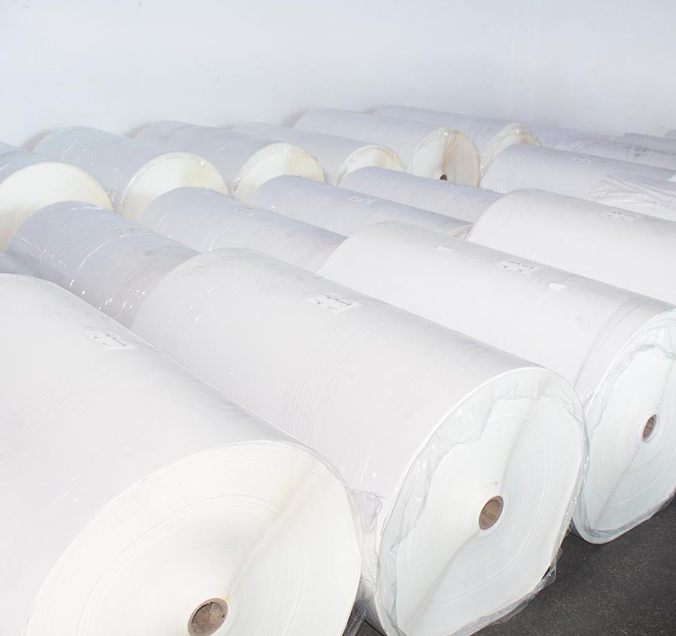 Label Stock Jumbo Roll BOPP Films