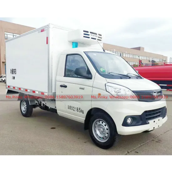Light Duty Mini Foton Refrigerator Truck 1-3Tons Loading Capacity  Whatsapp: 0086 15897603919