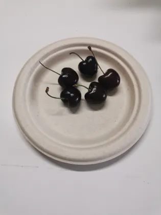 Customized party paper tableware bagasse dinner plate