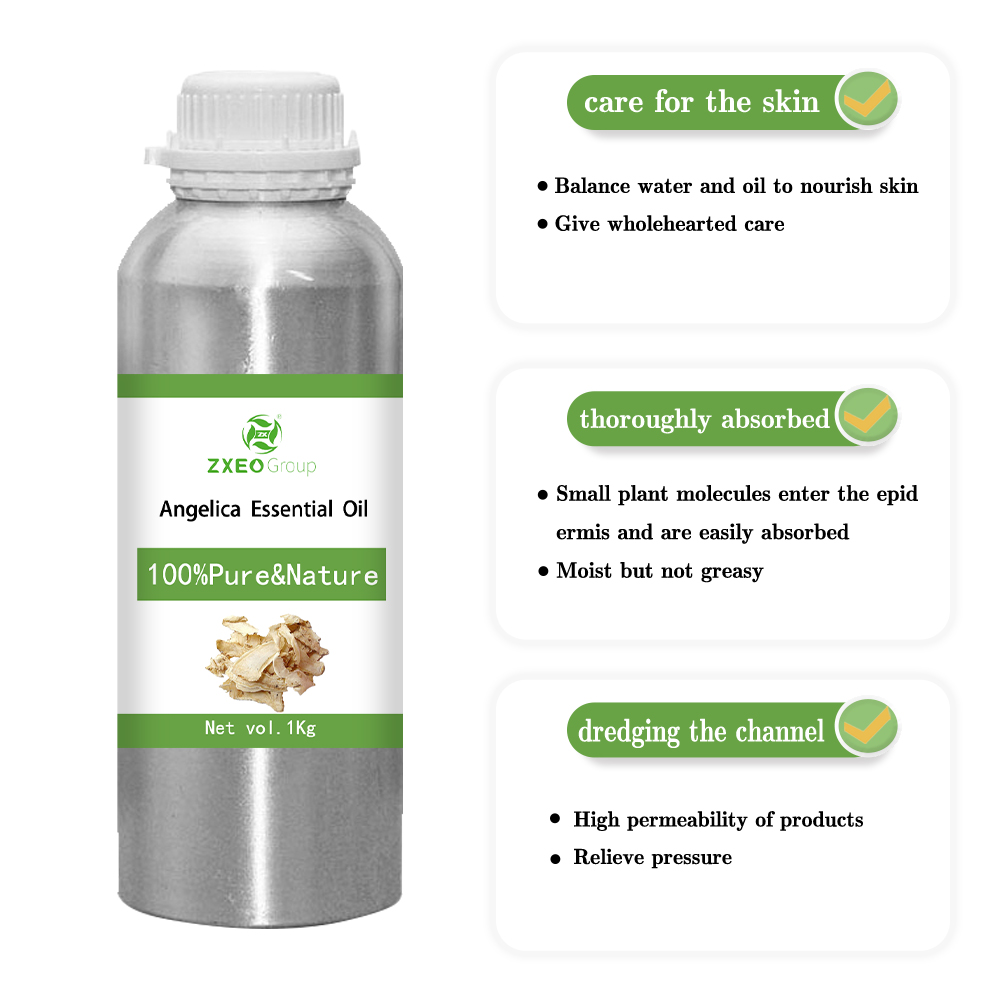 Pure Natural Angelica Racine Essential Supply Étiquette privée personnalisable Huile essentielle de haute qualité pour les soins corporels OEM / ODM