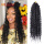 Jungle Box Braids Faux Locs Crochet Braids Hair