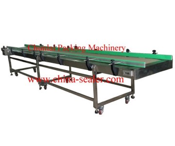 Plastic Chain Conveyor 4 Meters