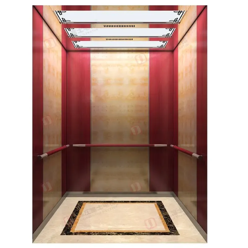Small Machine Room Lift and Vertical Commercial Residential Passenger Elevator
