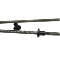 SUS303 Carbon Steel Tr12x6 Trapezoidal Lead Screw