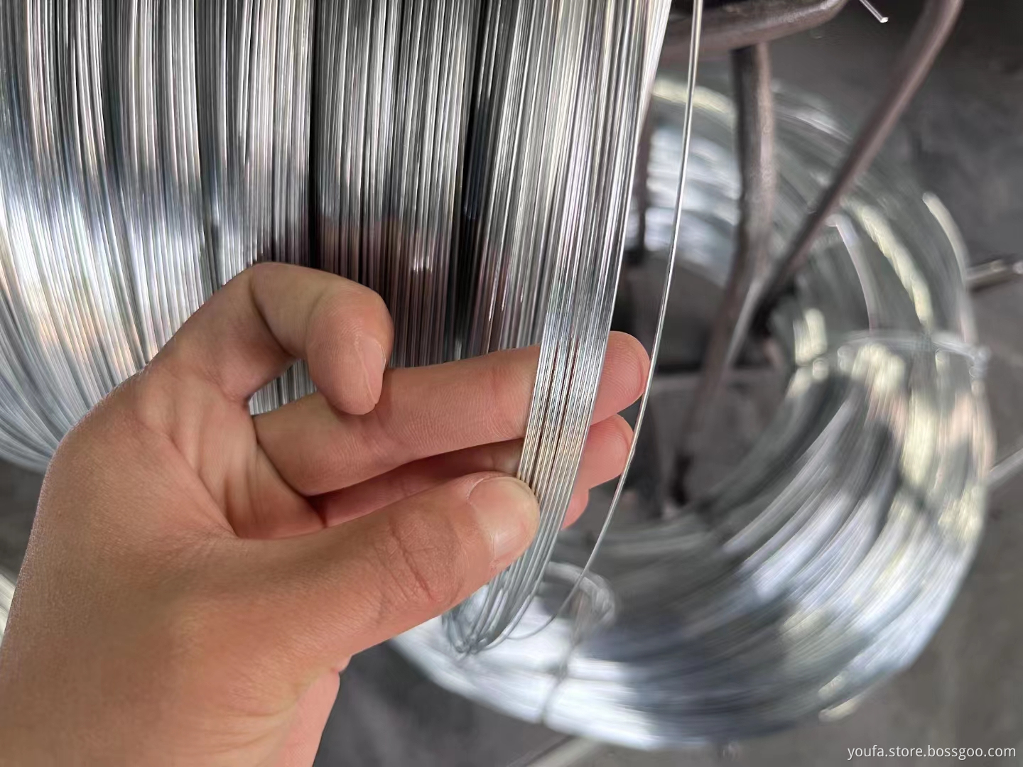 Galvanized Iron Wire