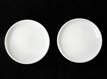 High Purity Alumina Crucible 99% Alumina Ceramic Crucible