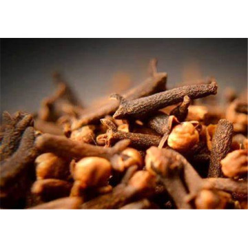 Clove Bud Essential Oil Factory Supply