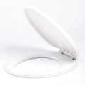 Egg shaped siphon one piece toilet cover