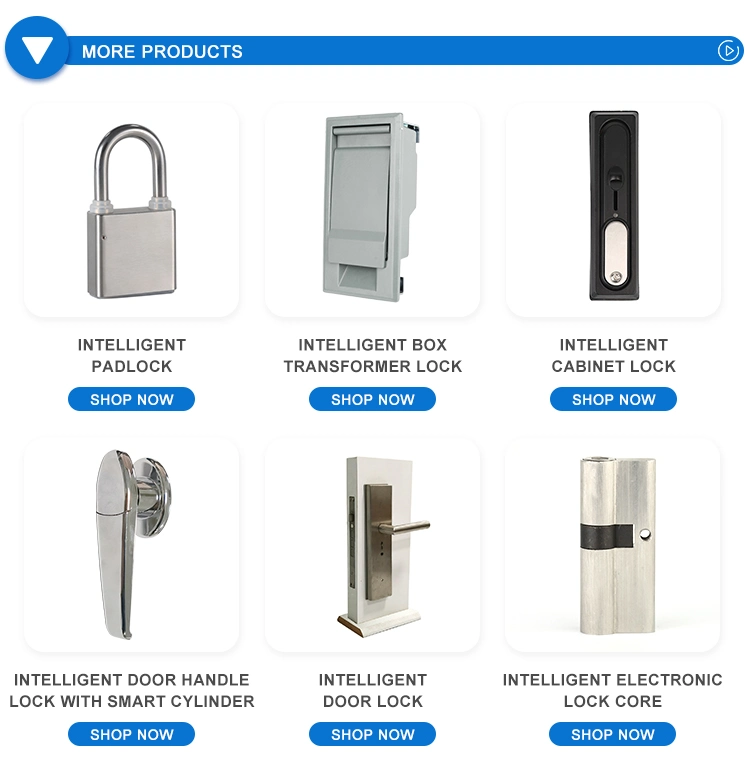 IP67 Identificación de huellas dactilares recargable Identificación de contraseña Pantalla visual Autorización remota Autorización de voz de voz Bluetooth NB IoT 4G Urge