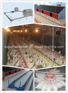 Chicken Breeder Poultry Farm Equipment