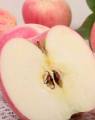 New Crop Fresh Goedkope Qinguan apple (64-198)