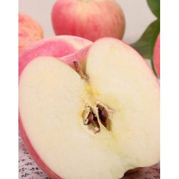 Nieuwe verse goedkope Fuji-appel met hoge kwaliteit