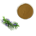 Rosemary Herb Extract Powder 3% Rosmarinic Acid 98%