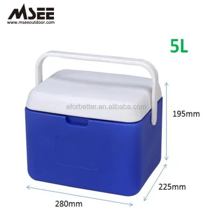 Coolest 5L Insulation Plastic Cooler Box