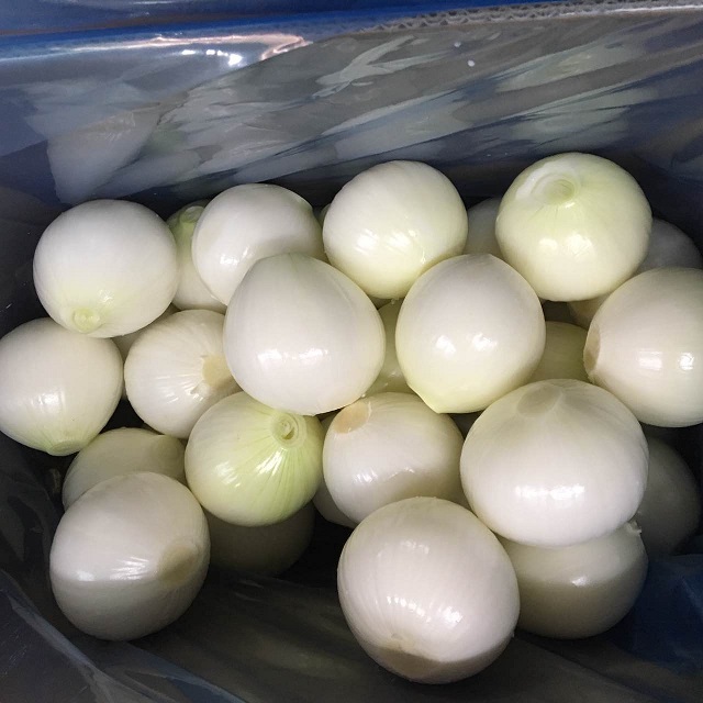 fresh yellow peeled onion 