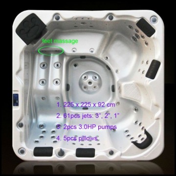 S601 New Plum Design SPA Pool Bathtub