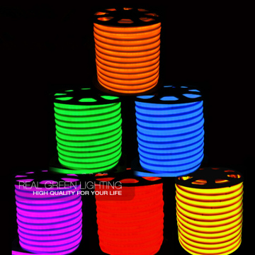 Manufacturer of DMX RGB Color Changing 24V LED Neon Flex Rope Light