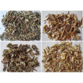 Chinese Whiteflower Patrinia Herb Extract 10:1