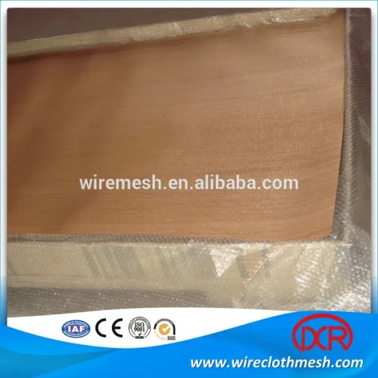 Phosphor plain copper wire cloth