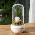 Portable flower aromatherapy freshener air diffuser