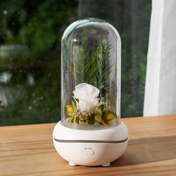 Portable flower aromatherapy freshener air diffuser