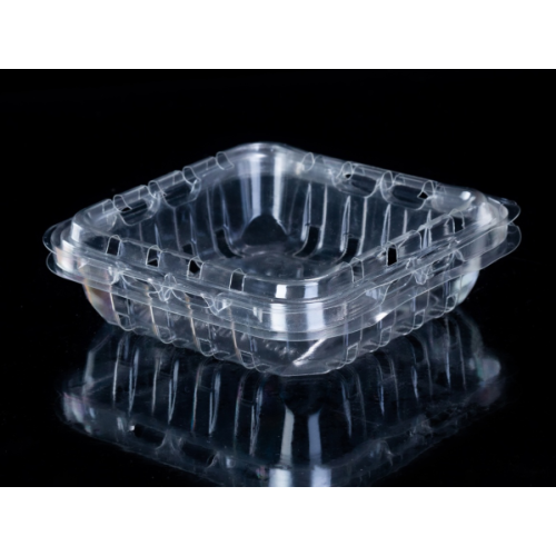 Disposable Plastic Transparent PET Food Container