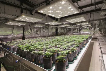 Full Spectrum LED Plant Light for Indoor Growing