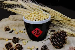 Soy Foods Products
