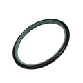 Tipo RS O-ring per guarnizione pistone ptfe