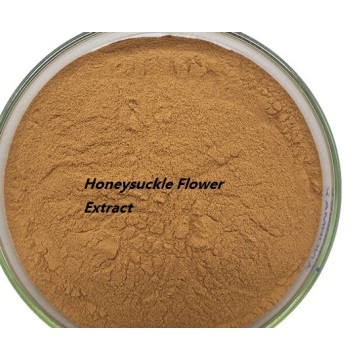 Buy online honeysuckle flower extract in skin care