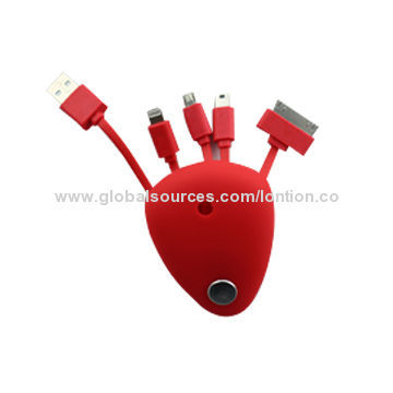 Multifunction USB Charger Cable/Adapter in Handy Pouch Bag, Tidy Travel