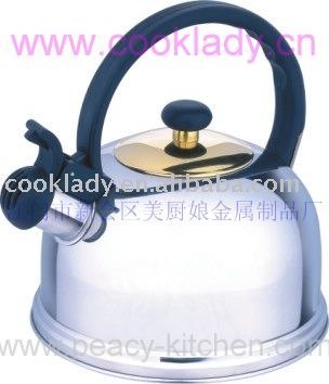stainless steel whistling tea pot