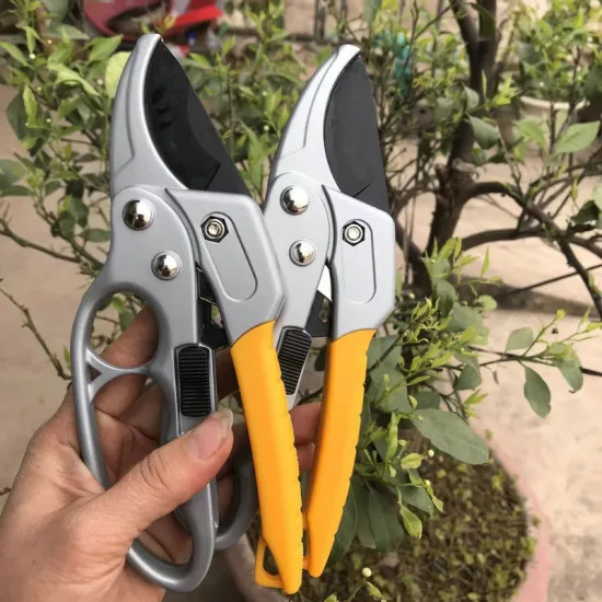 Wholesale Garden Supplies: Pruning Shears and Fruit Picking Scissors for Trees