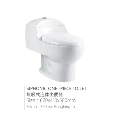 South American Countries Popular Cheap Ceramic Train Public Toilet Seats