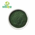 Pure Organic Chlorophyllin Powder