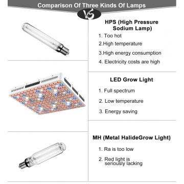 LED de alta potencia LED Cultive Lights para invernadero