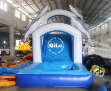 QILE NEW inflatable slide, inflatable water slide,giant inflatable water slide for adult
