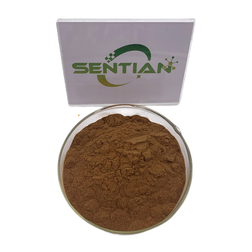 Pure Cinnamon Extract Supplement