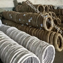 BWG20 GI Wire 1Kg Coil