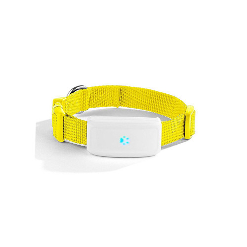 GSM GPRS Cat and Cow GPS Tracker